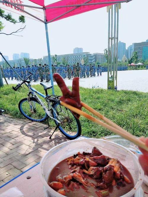 军训遇上吃瓜群众,吃瓜群众围观成风景 第3张 军训遇上吃瓜群众,吃瓜群众围观成风景 第3张